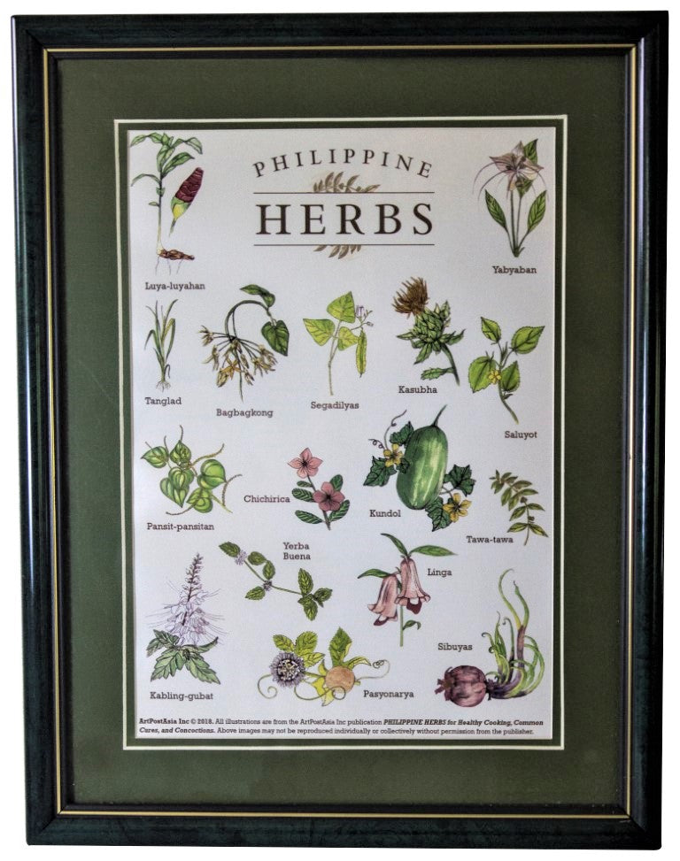 Philippine Herb Chart ARTPOSTASIA Inc